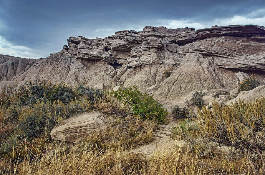 Toppled - Toadstool Geologic Park Photograph by Nikolyn McDonald