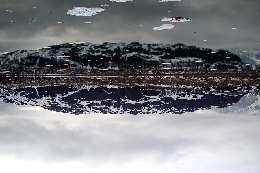 Topsy Turvy Reflections Of The Yukon Photograph by Rick Rosenshein