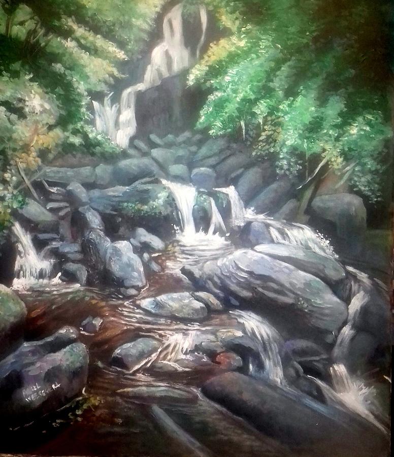 Torc Waterfall County Kerry Ireland Painting by Paul Weerasekera