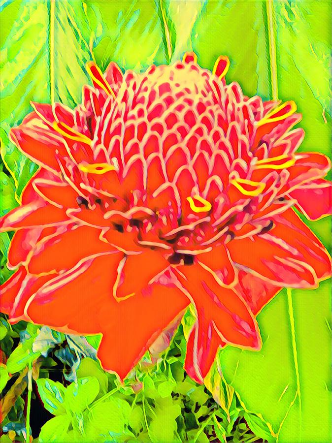 Torch Ginger Aloha Photograph by Joalene Young