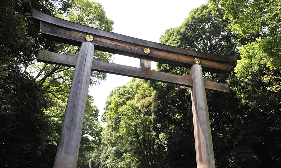 Torii At The Meiji Shrine Yoyogi Park Tokyo Japan Photograph