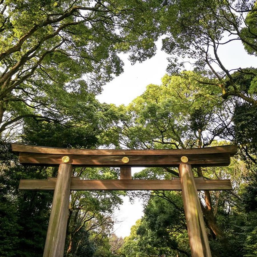 Travel Photograph - Torii Gate At Meiji Shrine
.
#japan by Evelyn Lam