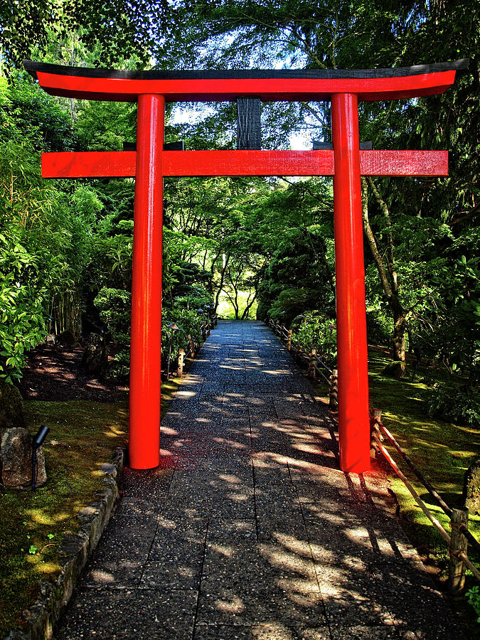 Torii Gate Photograph by Catherine Reading