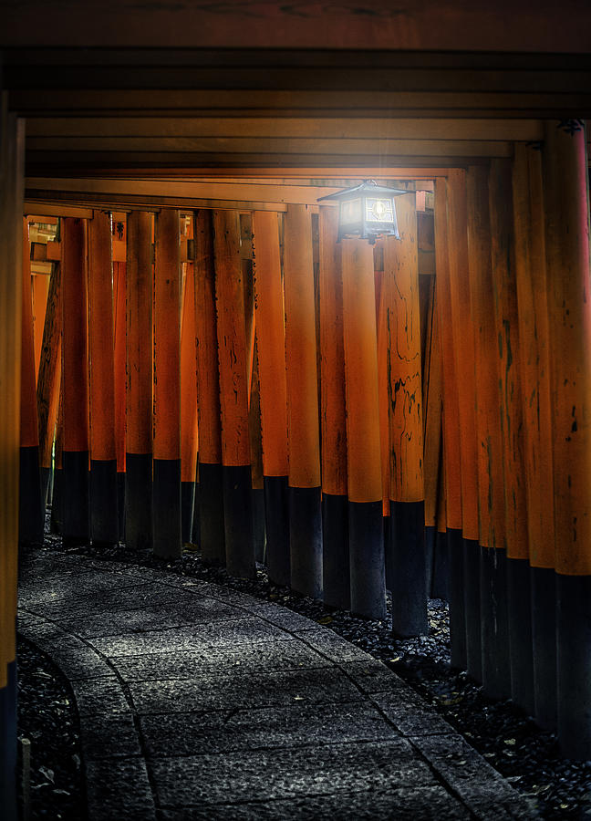 Landscape Photograph - Torii Gates Of A Fushimi Inari Shrine by Anya Terebenina-Taggart