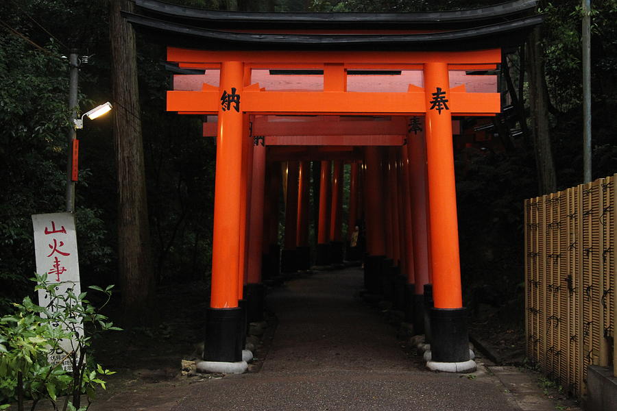 Torii Gates of Fushimi Inari-taisha Photograph by Silpa Saseendran