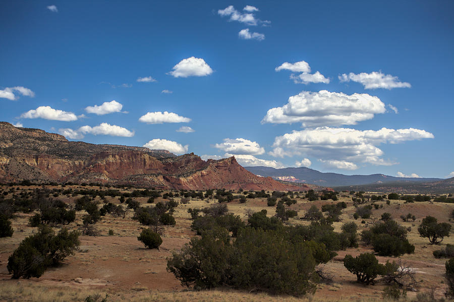 Red Rock Photograph - Torn Hills and Pinon Trees by Jim Buchanan