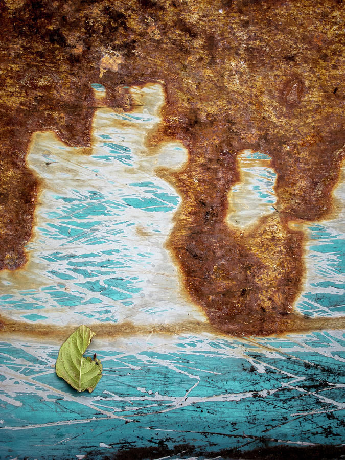 Torn Leaf on Rusted Metal Photograph by Mary Lee Dereske