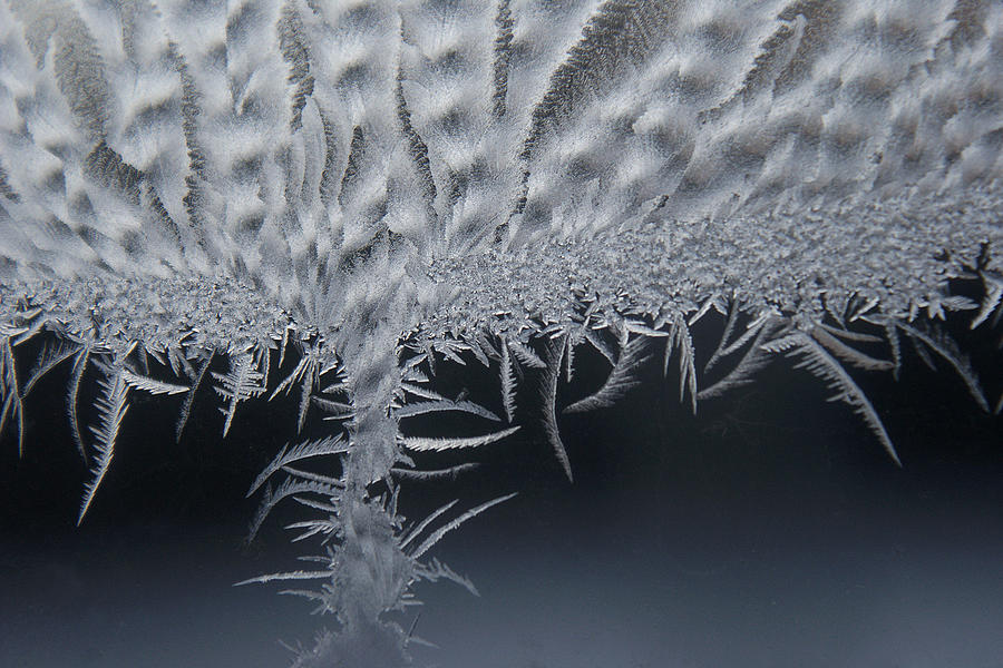 Winter Photograph - Tornado Frost by Greg Taylor