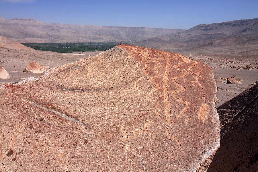 Toro Muerto Petroglyph 01 Photograph by Aidan Moran
