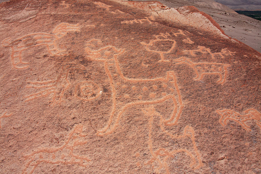 Toro Muerto Petroglyph 02 Photograph by Aidan Moran