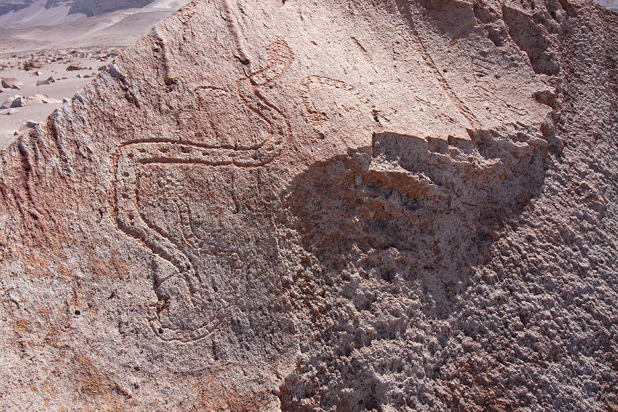 Toro Muerto Petroglyph 03 Photograph by Aidan Moran