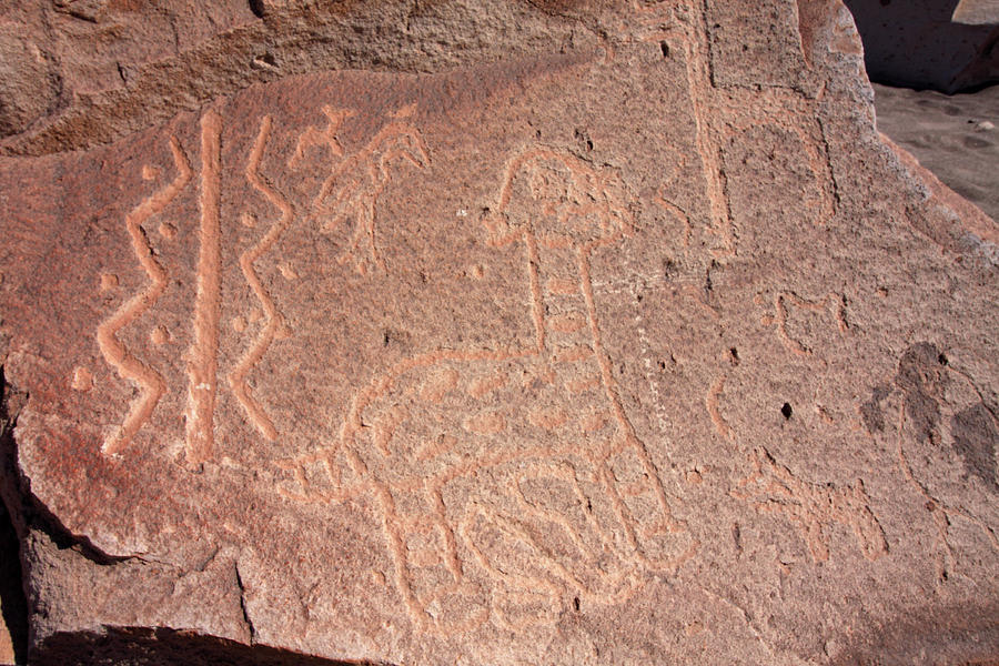 Toro Muerto Petroglyph 04 Photograph by Aidan Moran