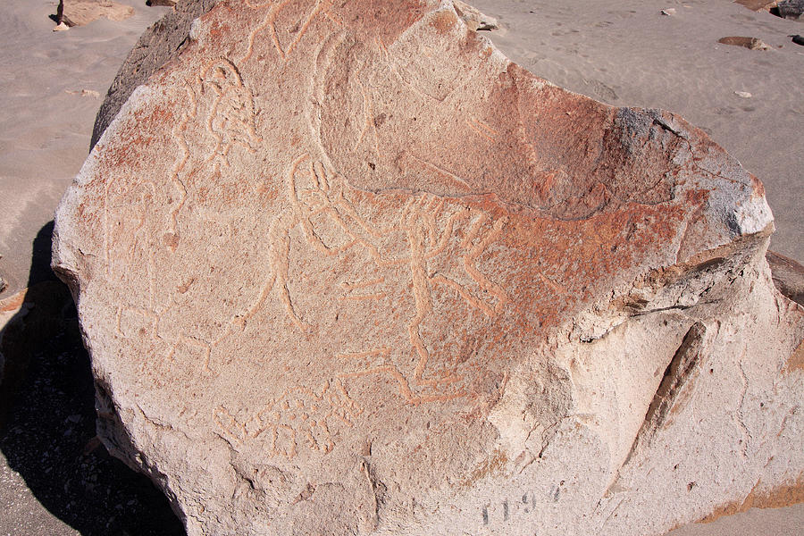 Toro Muerto Petroglyph 05 Photograph by Aidan Moran