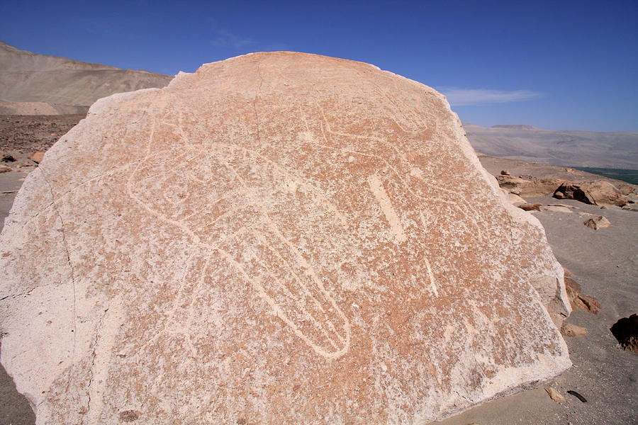 Toro Muerto Petroglyph 06 Photograph by Aidan Moran
