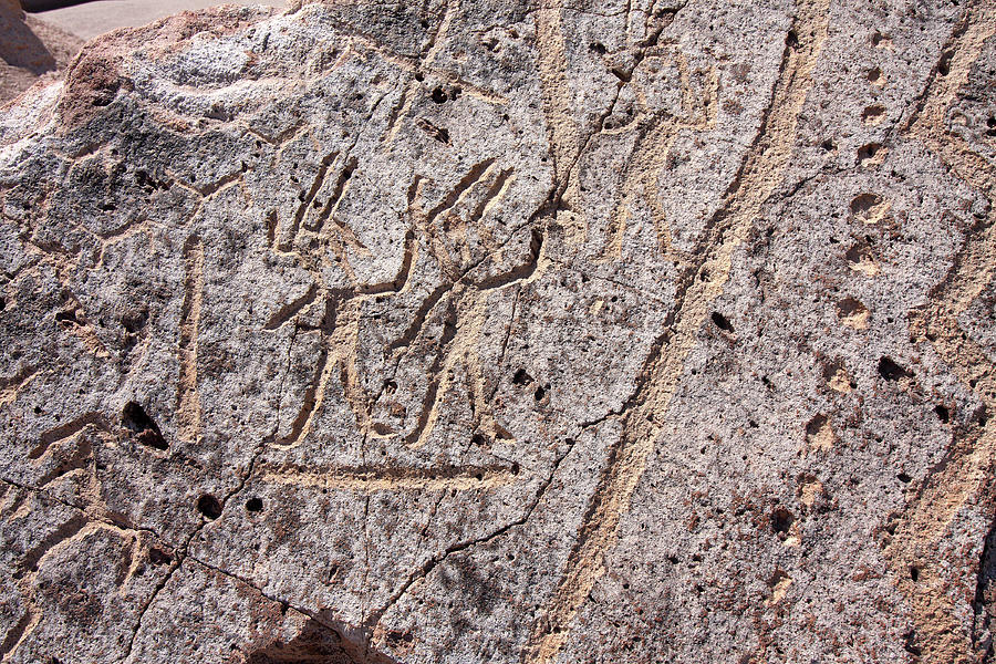 Toro Muerto Petroglyph 07 Photograph by Aidan Moran