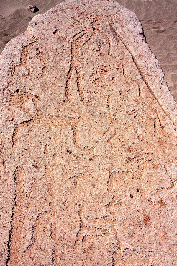 Toro Muerto Petroglyph 08 Photograph by Aidan Moran