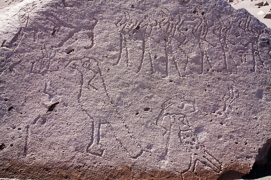 Toro Muerto Petroglyph 09 Photograph by Aidan Moran
