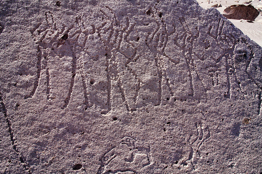 Toro Muerto Petroglyph 10 Photograph by Aidan Moran