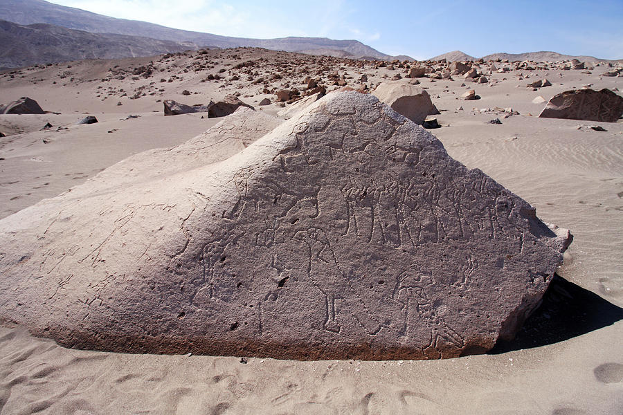 Toro Muerto Petroglyph 11 Photograph by Aidan Moran