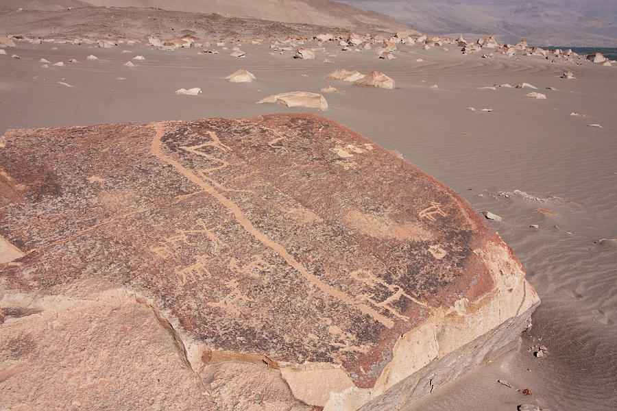 Toro Muerto Petroglyph 16 Photograph by Aidan Moran