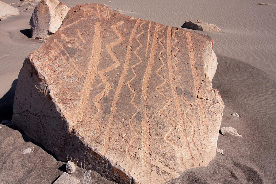 Toro Muerto Petroglyph 17 Photograph by Aidan Moran