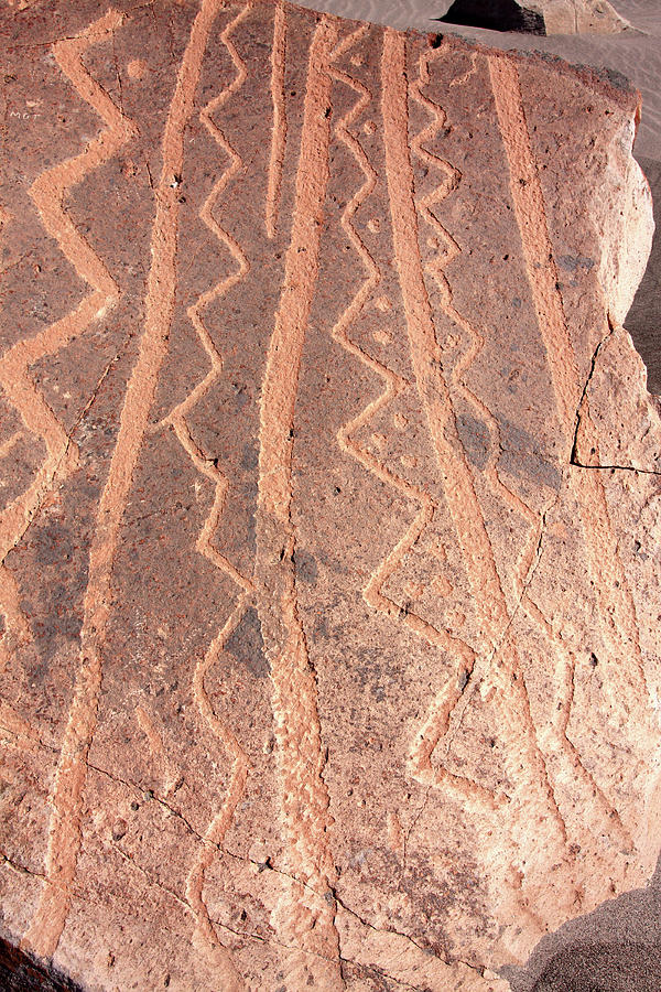 Toro Muerto Petroglyph 19 Photograph by Aidan Moran