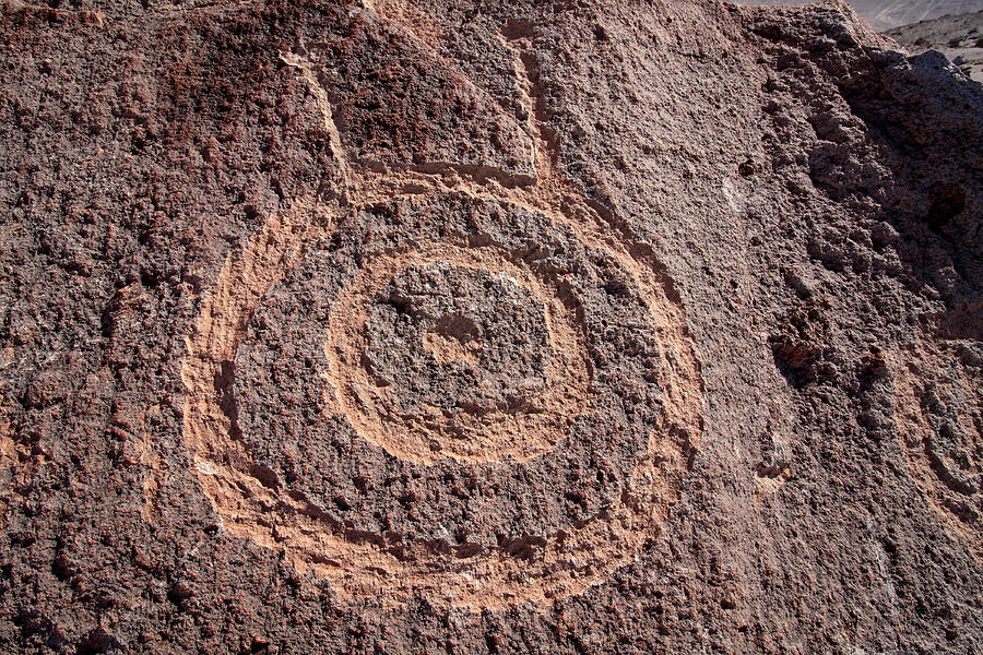 Toro Muerto Petroglyph 20 Photograph by Aidan Moran