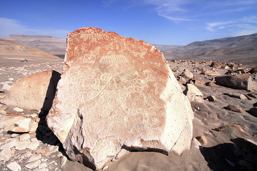 Toro Muerto Petroglyph 21 Photograph by Aidan Moran