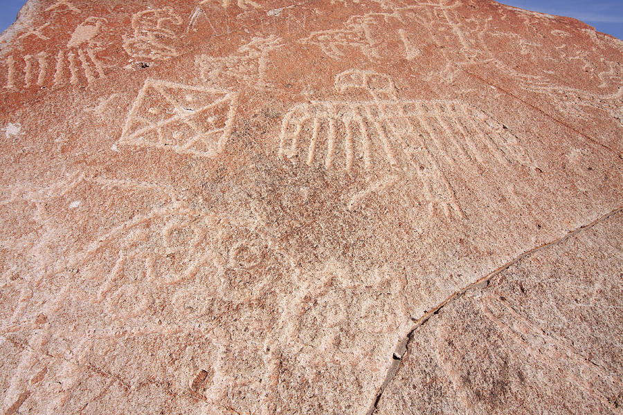 Toro Muerto Petroglyph 22 Photograph by Aidan Moran