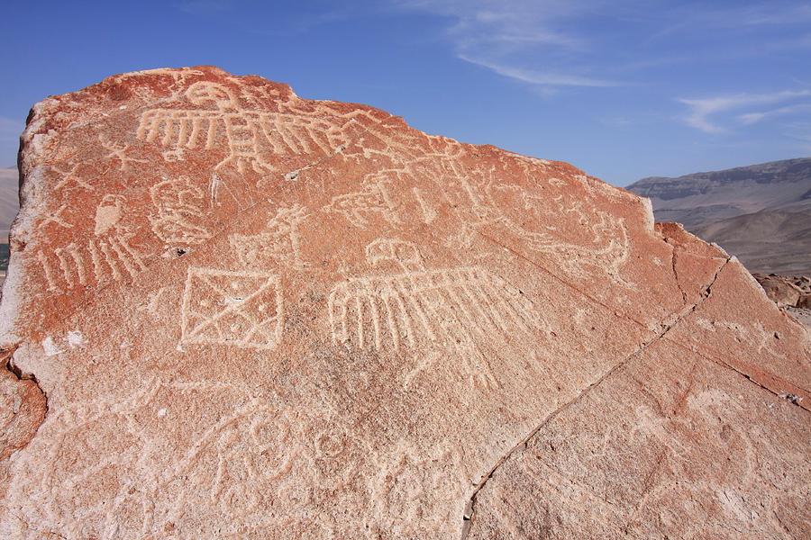 Toro Muerto Petroglyph 23 Photograph by Aidan Moran