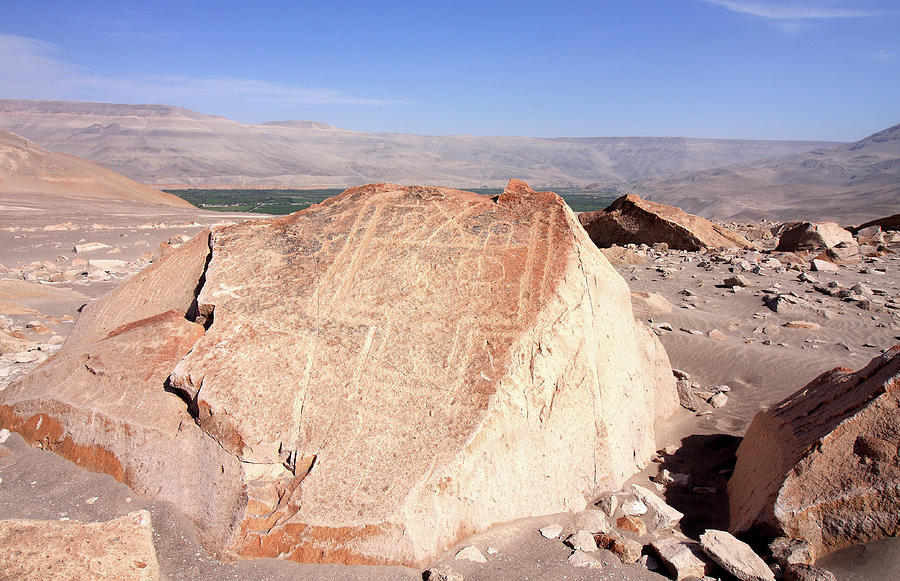 Toro Muerto Petroglyph 24 Photograph by Aidan Moran