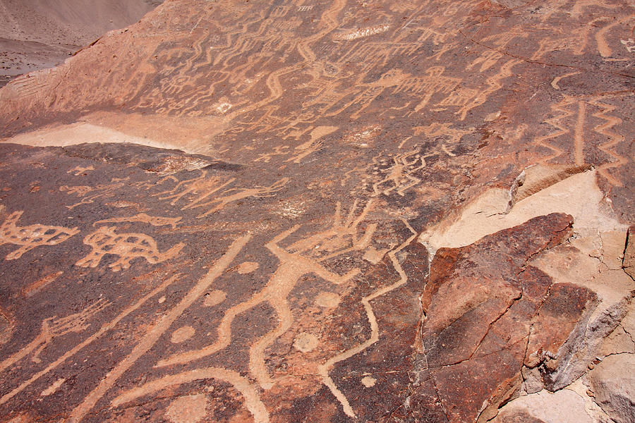 Toro Muerto Petroglyph 25 Photograph by Aidan Moran