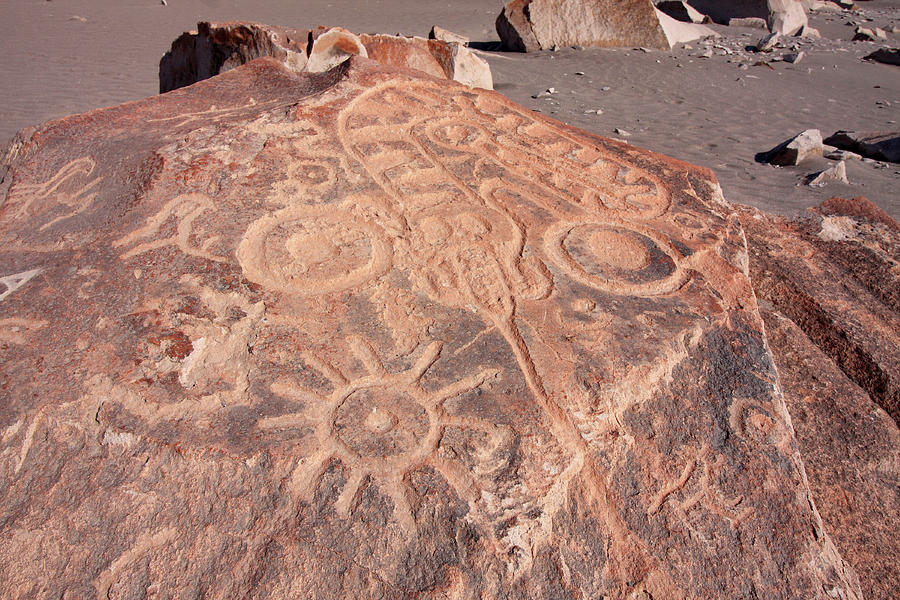 Toro Muerto Petroglyph 26 Photograph by Aidan Moran