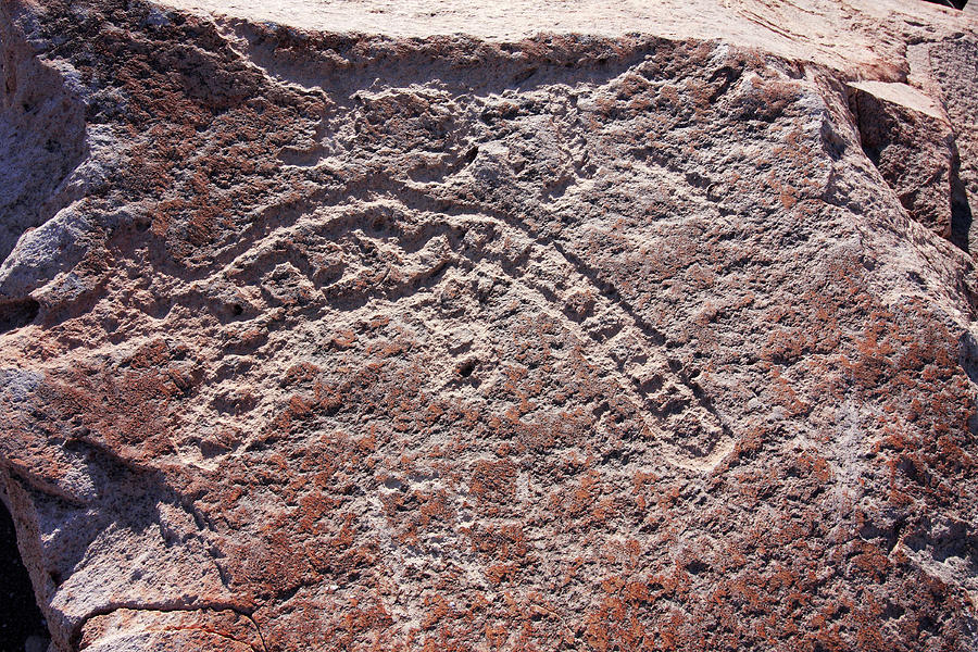 Toro Muerto Petroglyph 27 Photograph by Aidan Moran