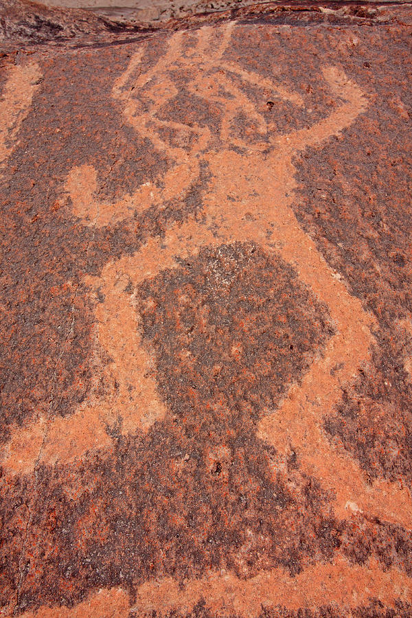 Toro Muerto Petroglyph 29 Photograph by Aidan Moran