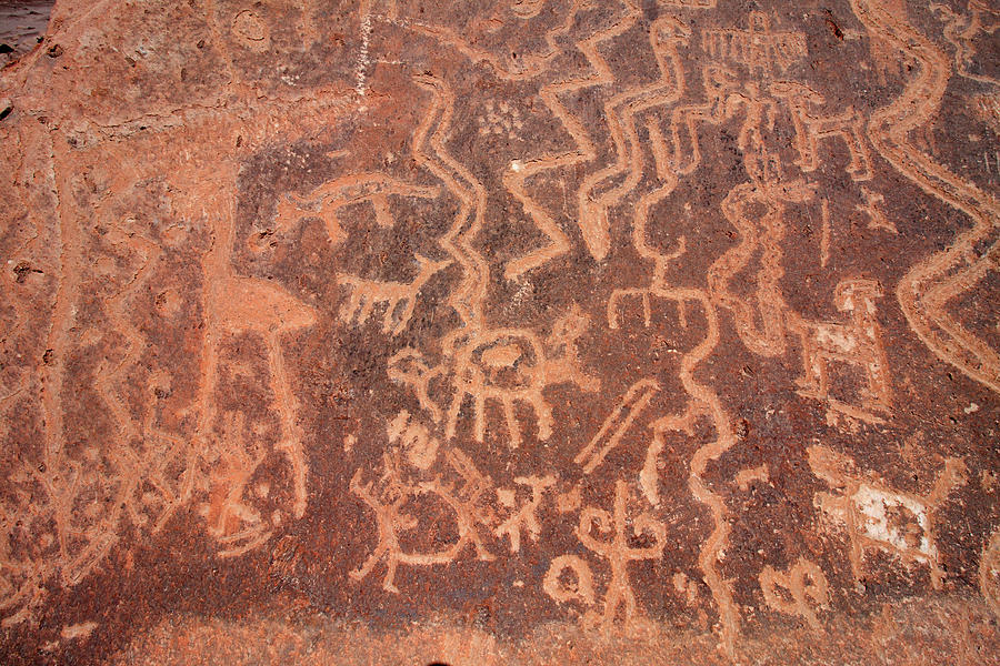 Toro Muerto Petroglyph 30 Photograph by Aidan Moran
