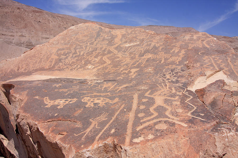 Toro Muerto Petroglyph 31 Photograph by Aidan Moran