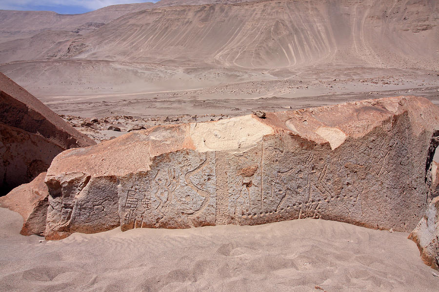 Toro Muerto Petroglyph 34 Photograph by Aidan Moran