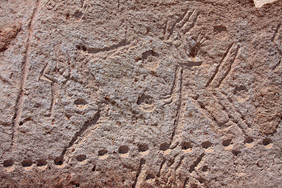 Toro Muerto Petroglyph 35 Photograph by Aidan Moran