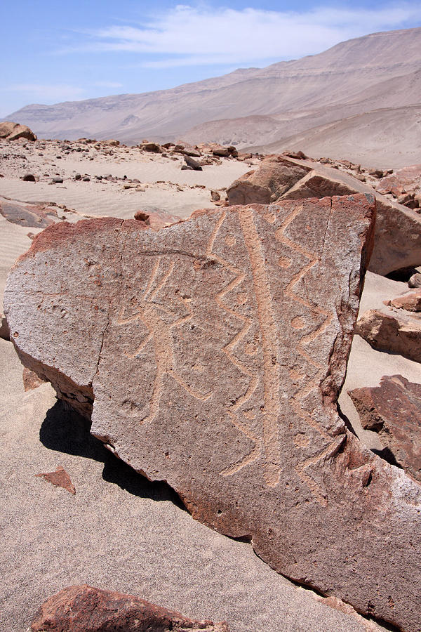 Toro Muerto Petroglyph 36 Photograph by Aidan Moran