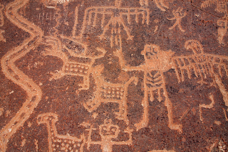 Toro Muerto Petroglyph 37 Photograph by Aidan Moran