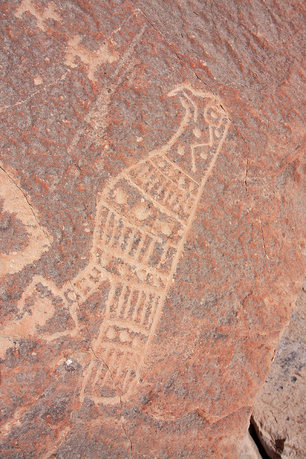 Toro Muerto Petroglyph 38 Photograph by Aidan Moran
