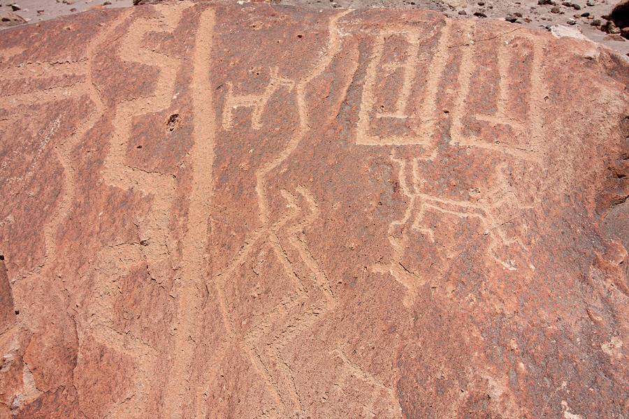 Toro Muerto Petroglyph 39 Photograph by Aidan Moran