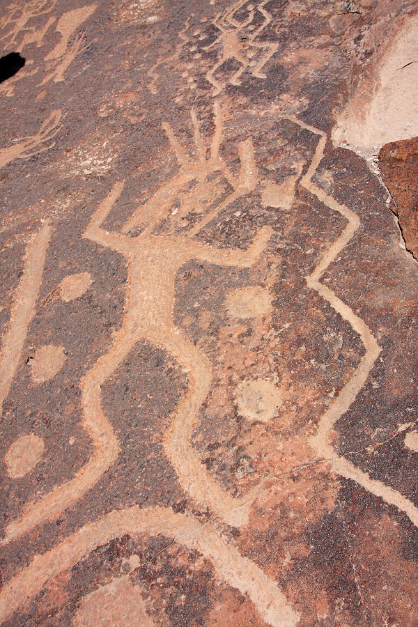 Toro Muerto Petroglyph 40 Photograph by Aidan Moran