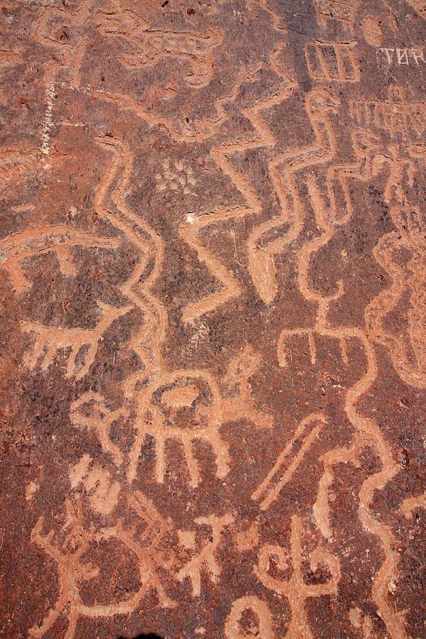 Toro Muerto Petroglyph 41 Photograph by Aidan Moran