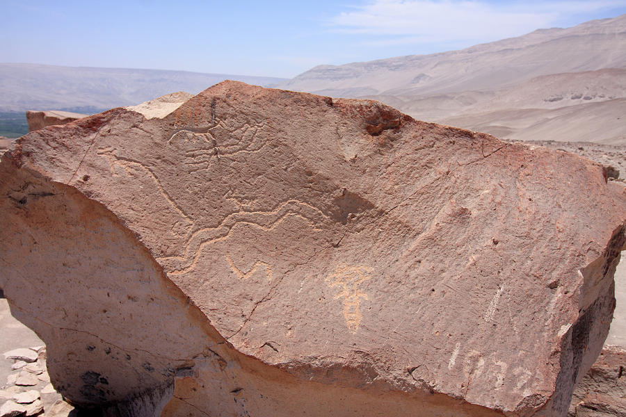 Toro Muerto Petroglyph 43 Photograph by Aidan Moran