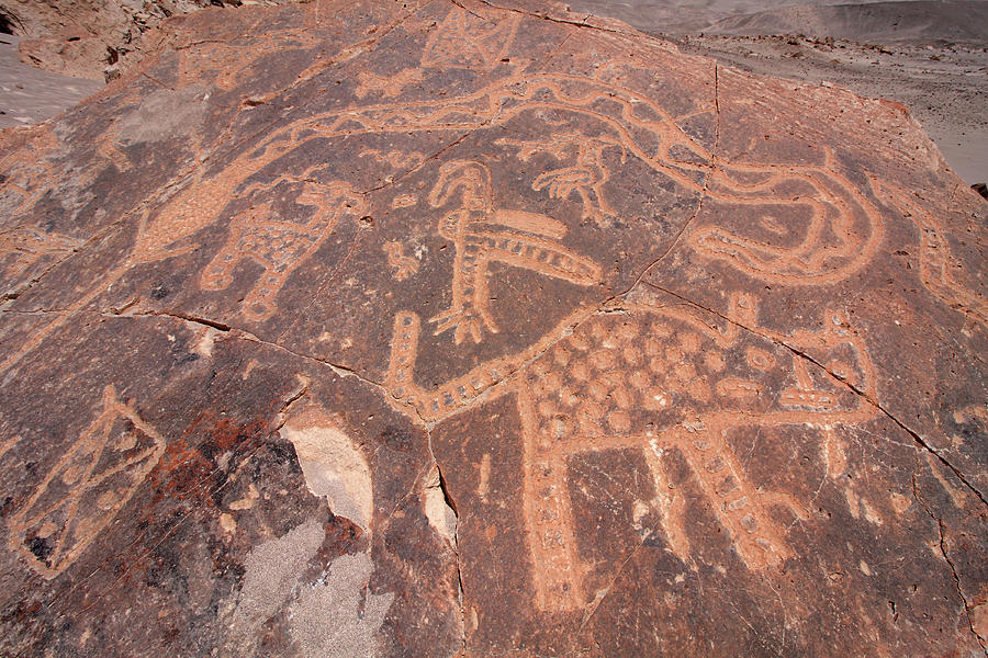 Toro Muerto Petroglyph 44 Photograph by Aidan Moran