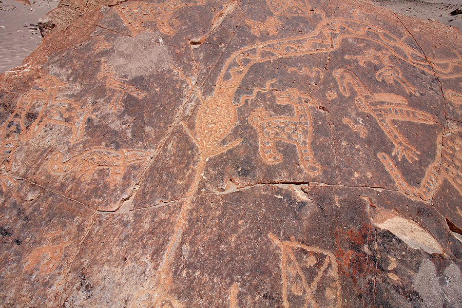 Toro Muerto Petroglyph 45 Photograph by Aidan Moran