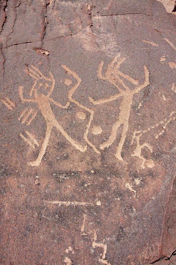 Toro Muerto Petroglyph 46 Photograph by Aidan Moran