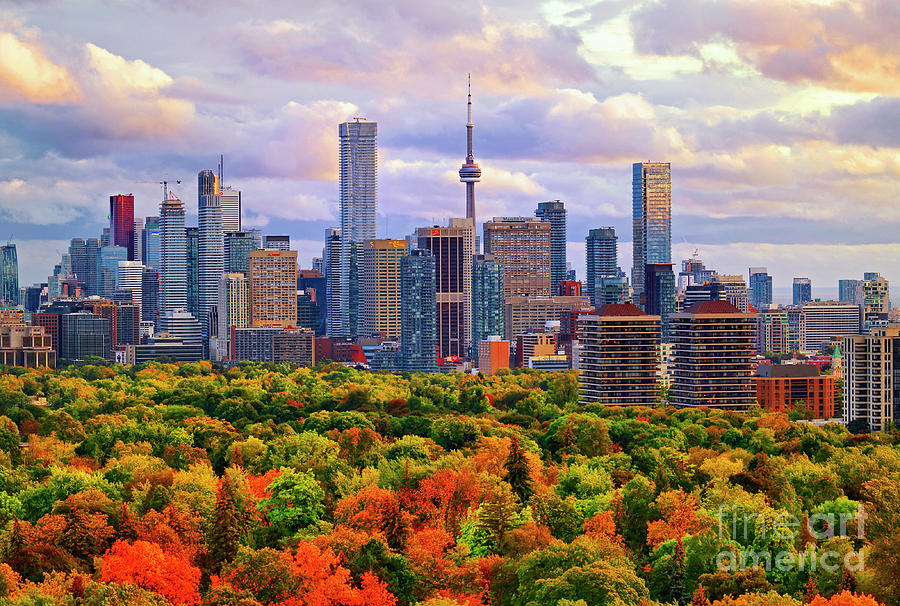 Toronto Autumn 2017 Photograph by Charline Xia